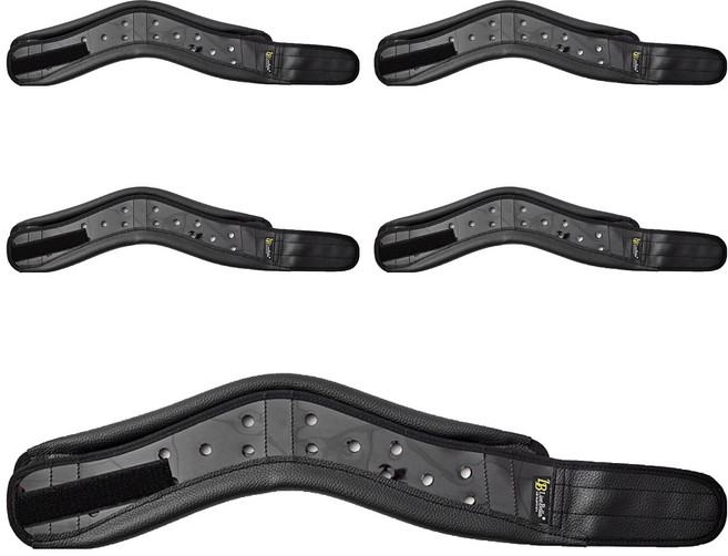 라인벨라 넥가드 목보호대, 5개