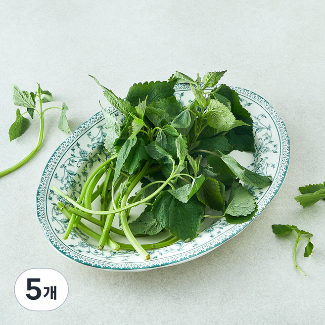 국내산 방아잎, 50g, 5개