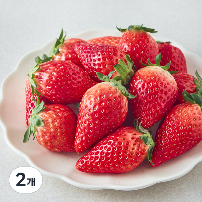 곰곰 타이벡 설향 딸기(대과), 500g(대과), 2개