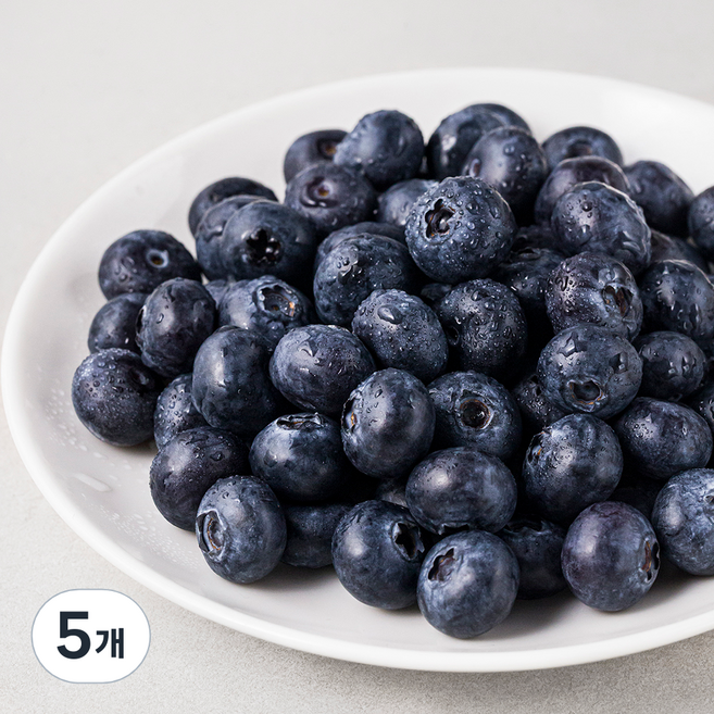 국내산 블루베리, 100g, 5개