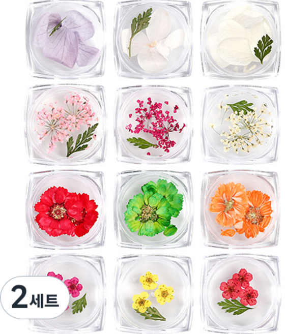 젤로젤로 생화 드라이플라워 네일파츠 12종 세트 B, 혼합색상, 2개