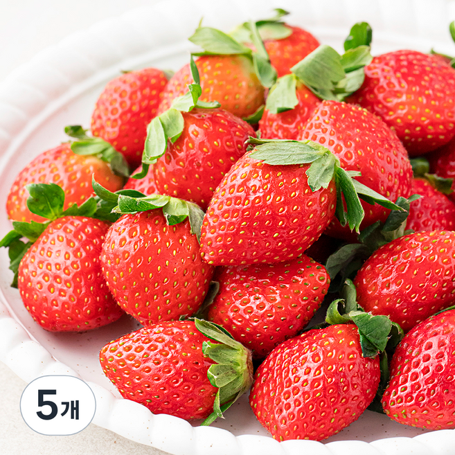 산지직송 예담 설향딸기, 500g(상), 5개