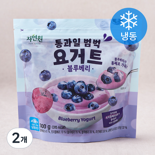 자연원 통과일 범벅 요거트 블루베리 (냉동), 300g, 1개입, 2개