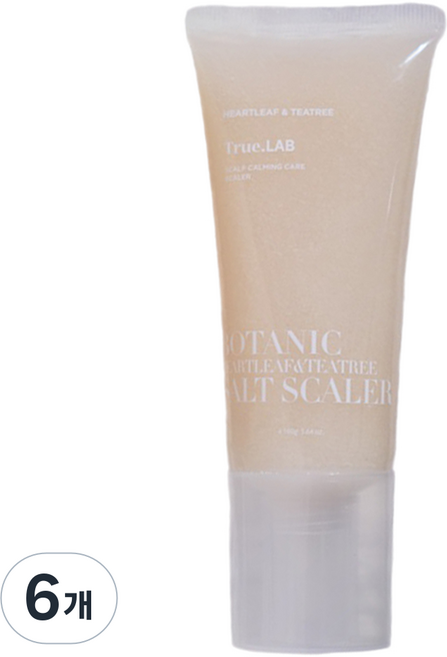 정직한실험실 어성초 티트리 솔트 스케일러, 160g, 6개