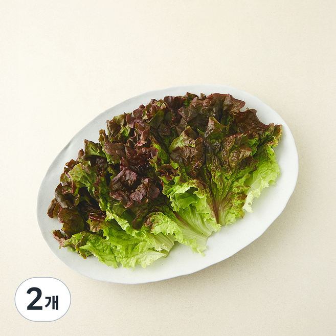 친환경 한끼 적상추, 80g, 2개