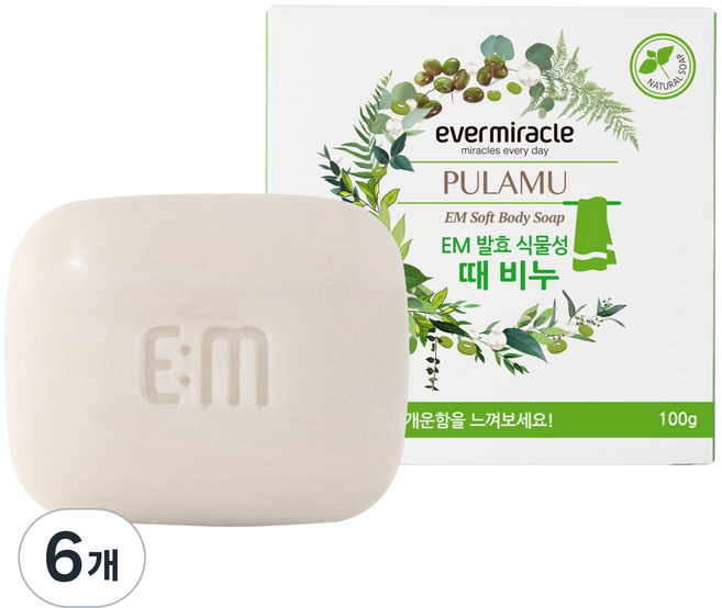 에버미라클 EM 발효식물성 때비누, 100g, 6개