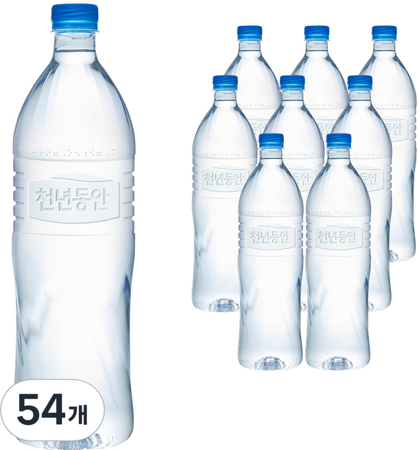천년동안 해양심층수 무라벨, 1.2L, 54개
