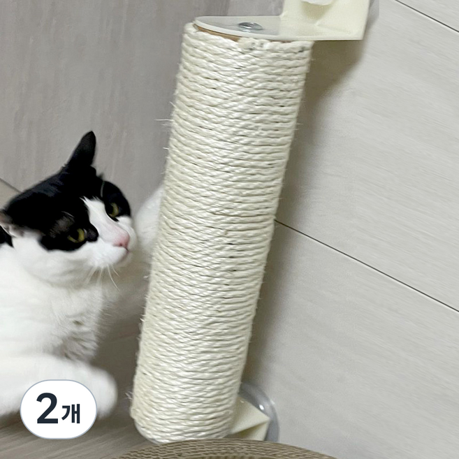 펫모닝 고양이 큐방 창문 벽 기둥 스크래쳐, 화이트, 2개