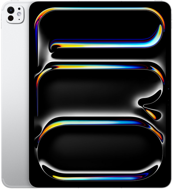 Apple 정품 2024 아이패드 프로 13 M4칩 Nano-texture 글래스, 실버, 1TB, Wi-Fi