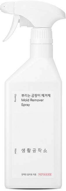 생활공작소 뿌리는 곰팡이 제거제, 750ml, 1개