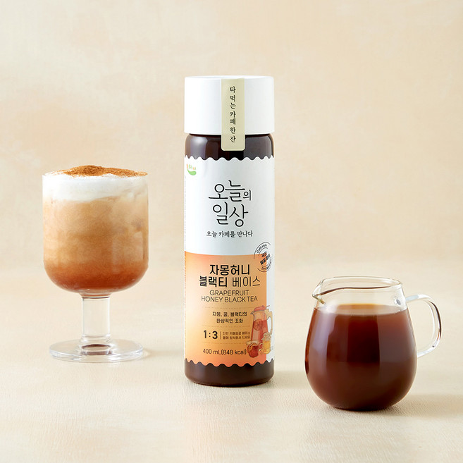 흥국에프엔비 오늘의일상 자몽허니블랙티 베이스, 400ml, 1개