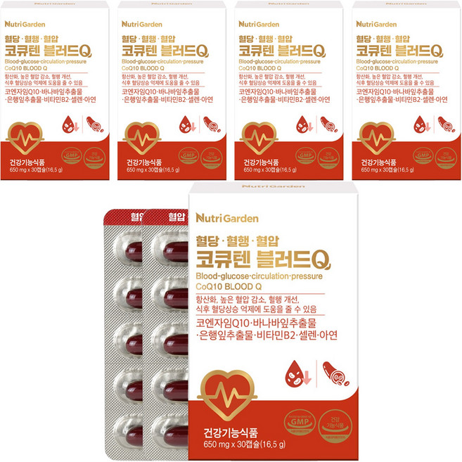 뉴트리가든 코큐텐 블러드Q 16.5g, 5개, 30정