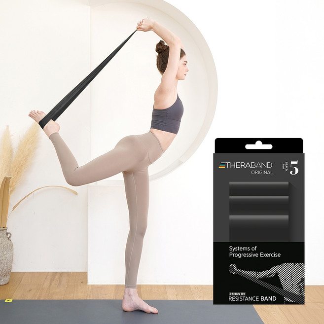 세라밴드 오리지널 탄성저항 밴드 5단계 + 운동포스터, 블랙, 1개