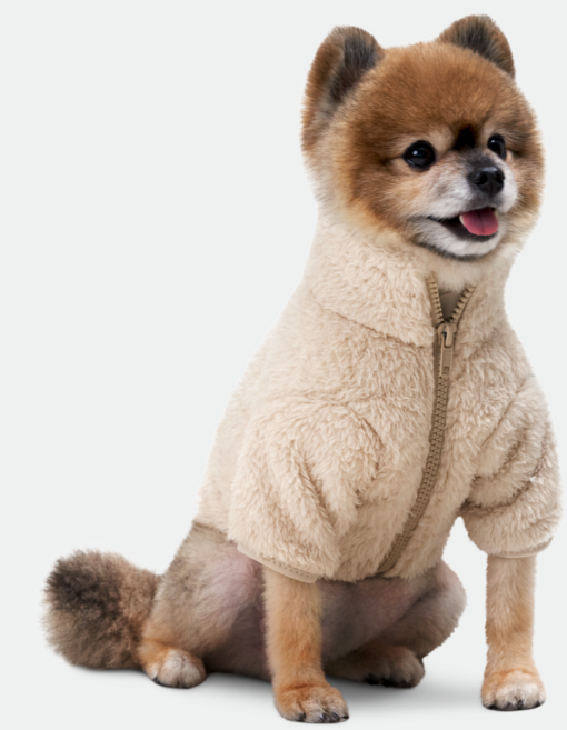 네오핏 강아지 파스텔 후리스, 베이지, 1개