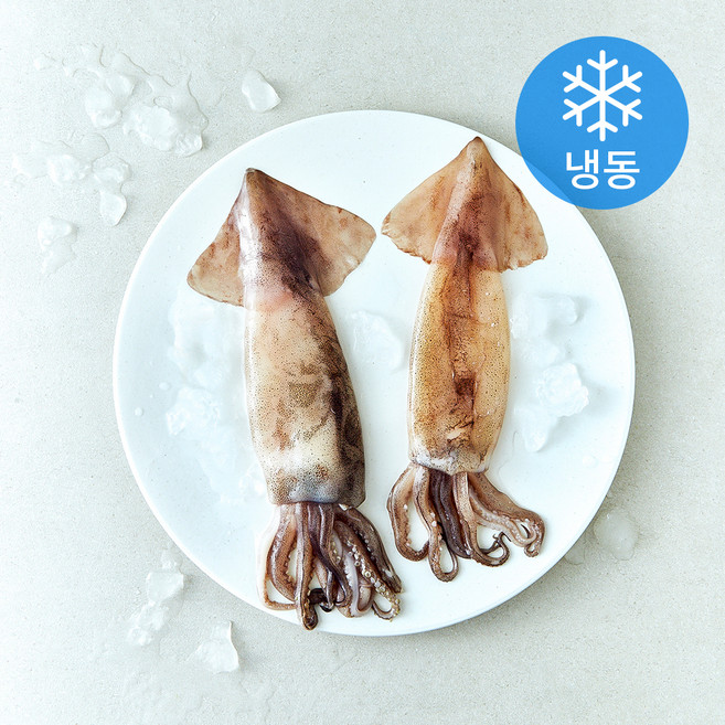 온다미 손질 통오징어 (냉동), 260g(2미), 1개