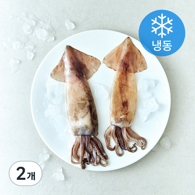 온다미 손질 통오징어 (냉동), 260g(2미), 2개