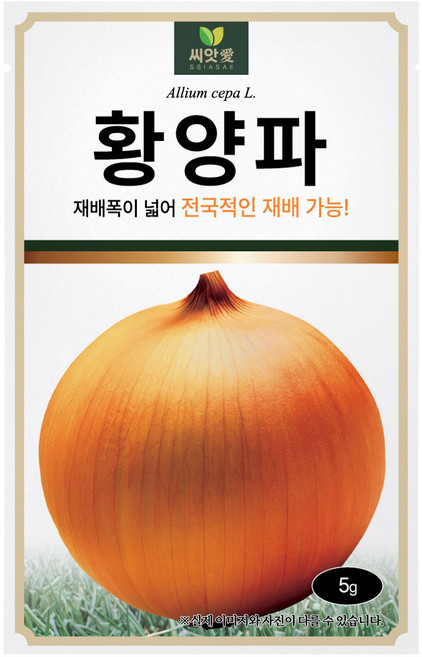 다농 씨앗애 황양파 씨앗 5g, 1개