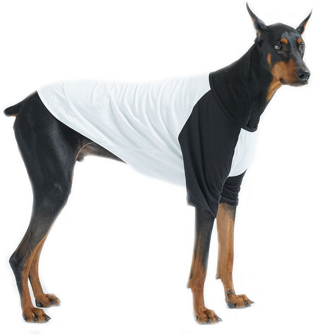 럭키페터 대형 강아지 화이트 시리즈 나그랑 티셔츠, 화이트+블랙, 1개