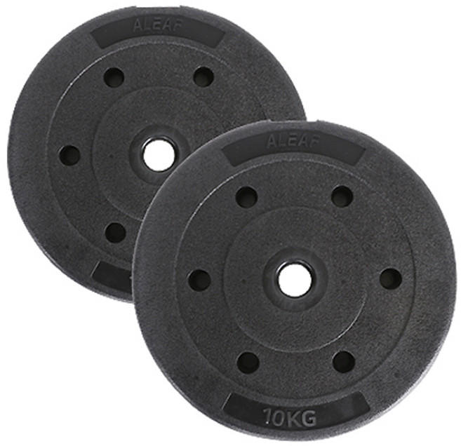 아리프 플렉스 원판, 10kg, 2개