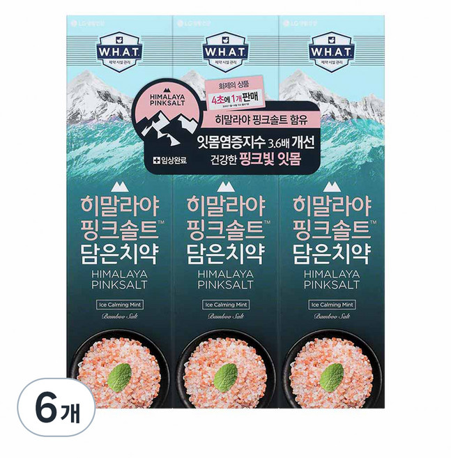 히말라야핑크솔트 담은 치약 튜브형 아이스, 100g, 6개
