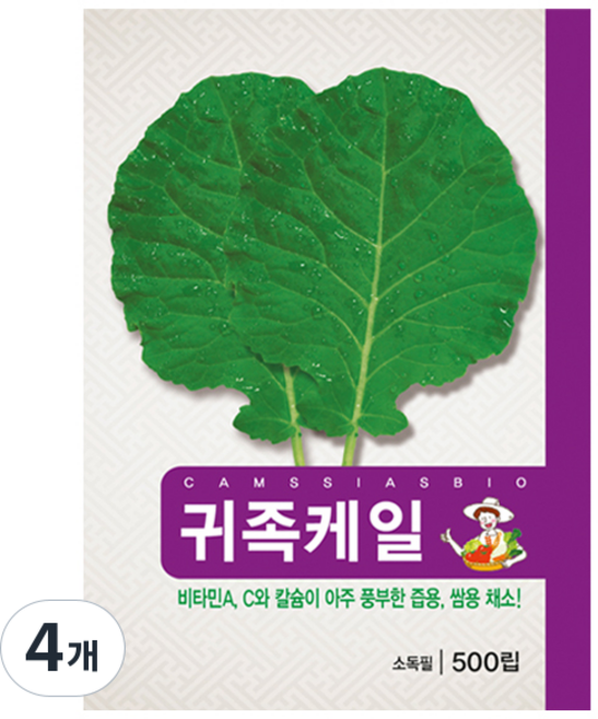 귀족 케일 씨앗 500p, 4개