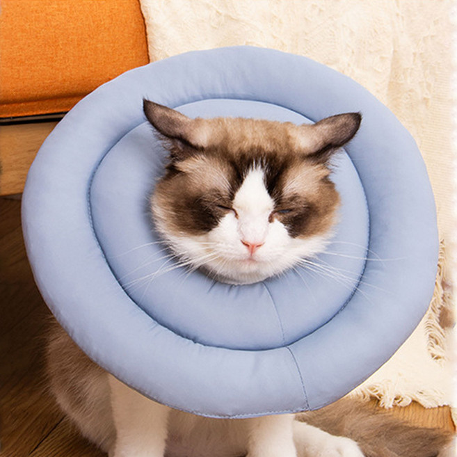 딩동펫 스토퍼 넥카라, 블루, 1개