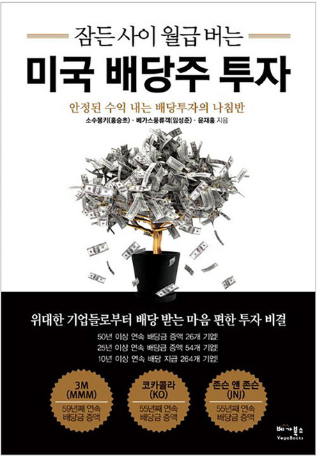 잠든 사이 월급 버는 미국 배당주 투자:안정된 수익 내는 배당투자의 나침반, 베가북스, 윤재홍