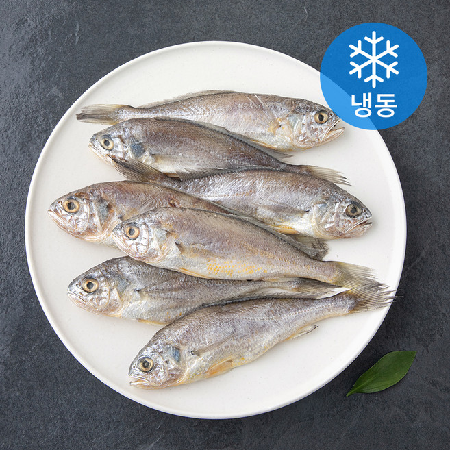 생선파는언니 참조기 (냉동), 500g, 1개