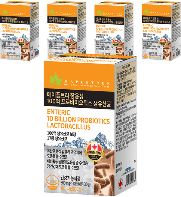 메이플트리 장용성 100억 프로바이오틱스 생유산균, 5개, 60정