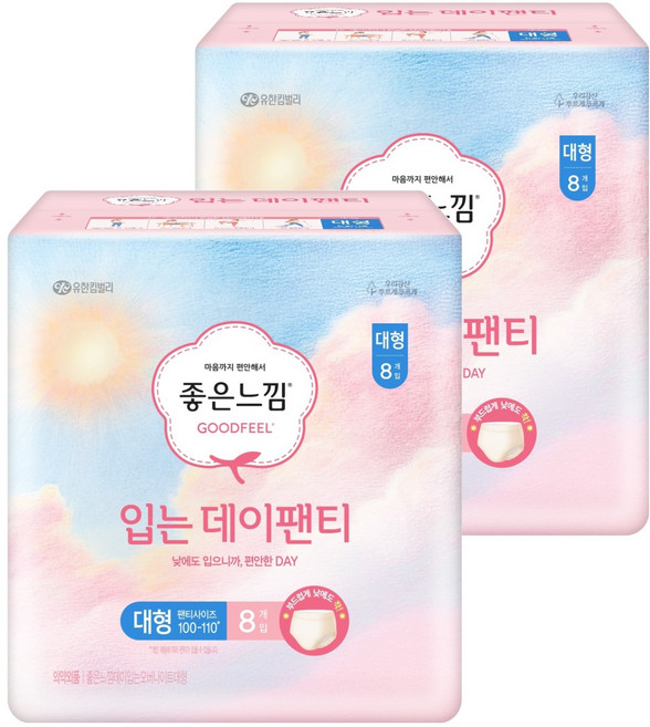 좋은느낌 입는 데이팬티 생리대, 대형, 8개입, 2개