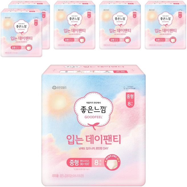 좋은느낌 입는 데이팬티 생리대, 중형, 8개입, 6개