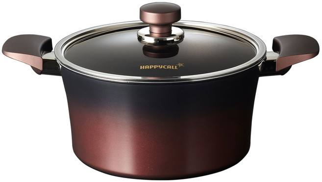 해피콜 인덕션 티타늄 냄비 양수 곰솥냄비, 24cm, 혼합색상, 1개