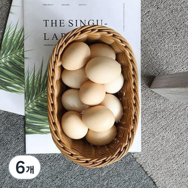 달빛마켓 내츄럴 타원형 납작 진열 라탄바구니 바스켓, 6개