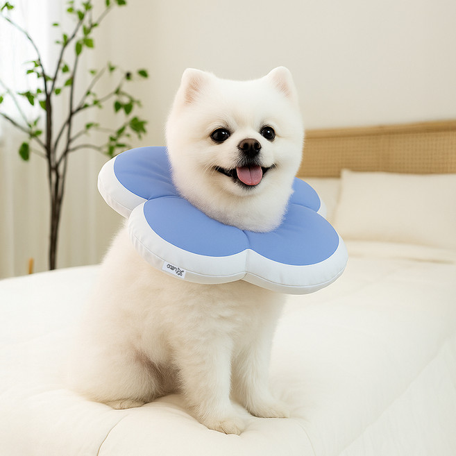 레토 반려동물 플라워 방수 초경량 넥카라, 블루, 1개