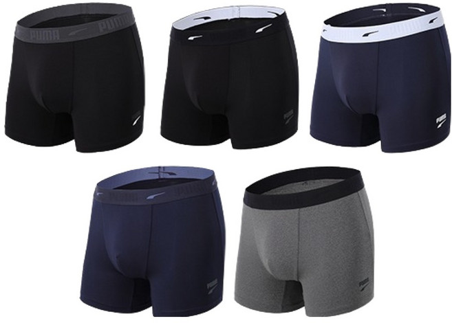 푸마바디웨어 빅사이즈 포함 남성용 통기성 메쉬 드로즈 팬티 5종 세트