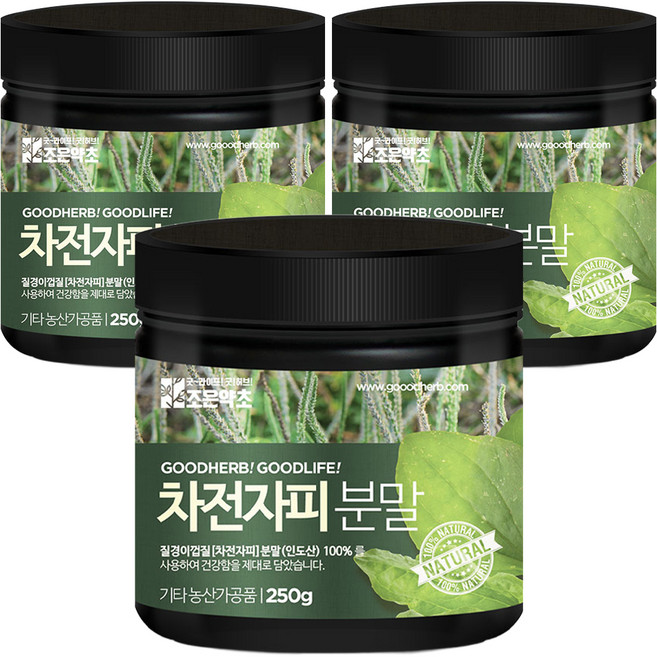 조은약초 차전자피분말, 3개, 250g