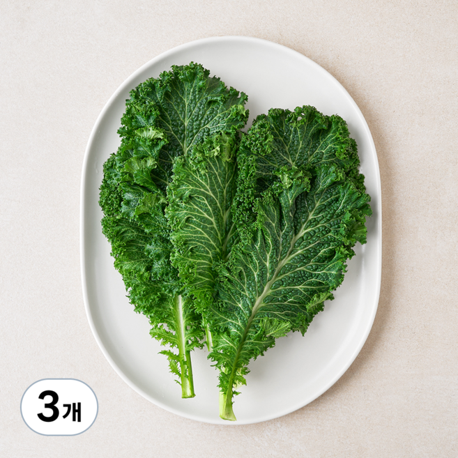국내산 청겨자잎, 3개, 70g
