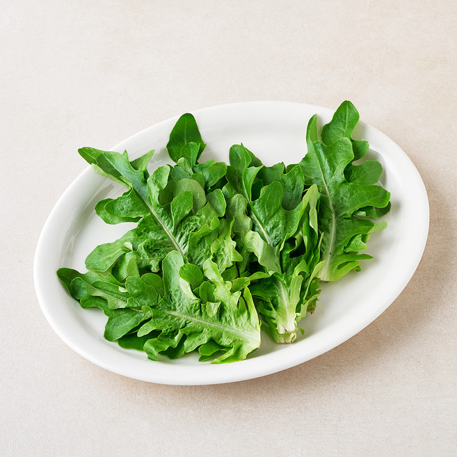 국내산 오크립, 1개, 100g