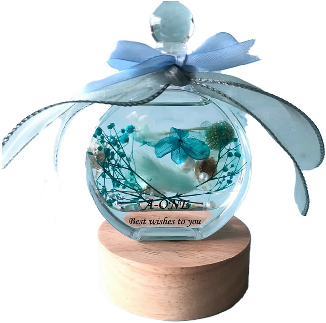 A-ONE 匯旺 浮游花DIY花材包 Set 天然植物乾燥花 藍夜星辰, 藍夜星辰 彩色