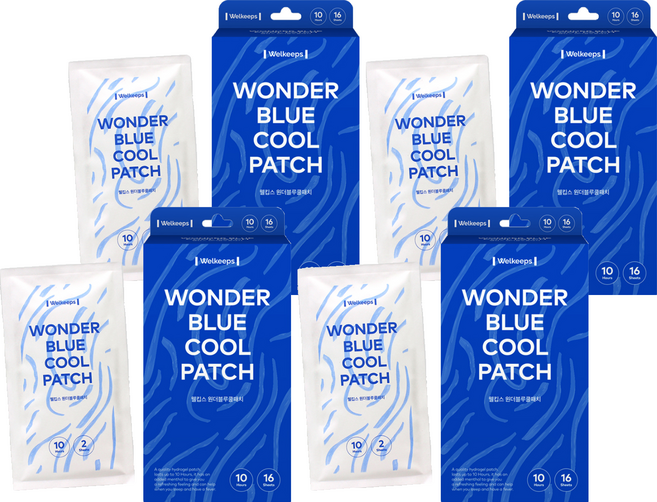 웰킵스 원더블루 쿨패치, 4개, 16개입