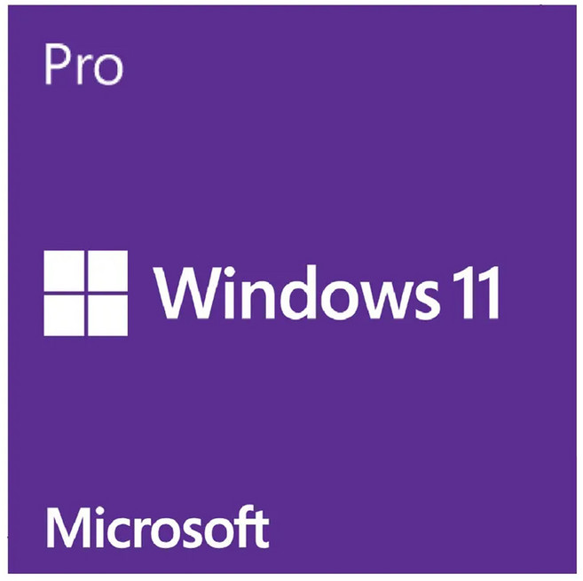 Microsoft 微軟 Windows 11 專業中文版 64位元隨機版, FQC-10523