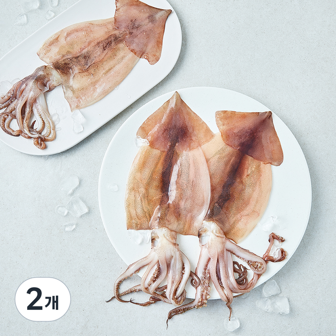 원양산 손질 오징어 중 3미 (냉장), 2개, 480g