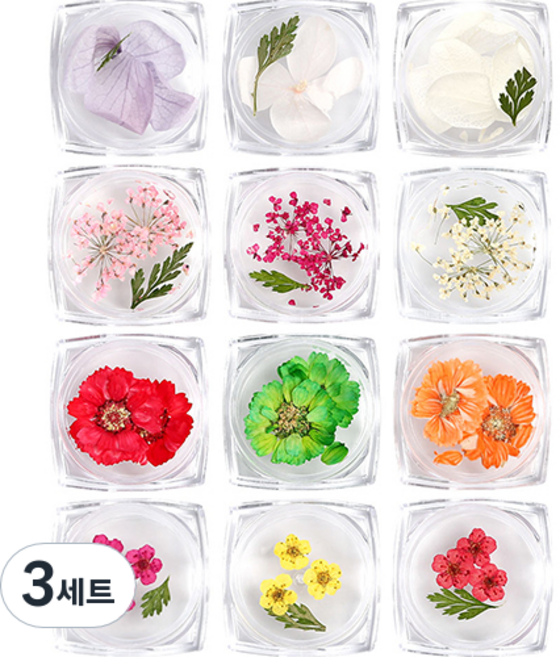 젤로젤로 생화 드라이플라워 네일파츠 12종 세트 B, 혼합색상, 3세트