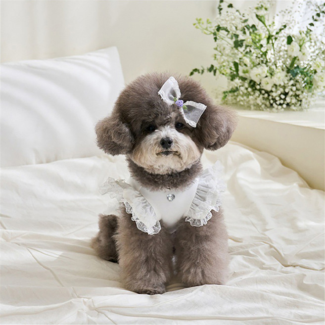 퍼피드림 반려동물 봉봉 프릴 레이스 나시 티셔츠 10028, 화이트, 1개