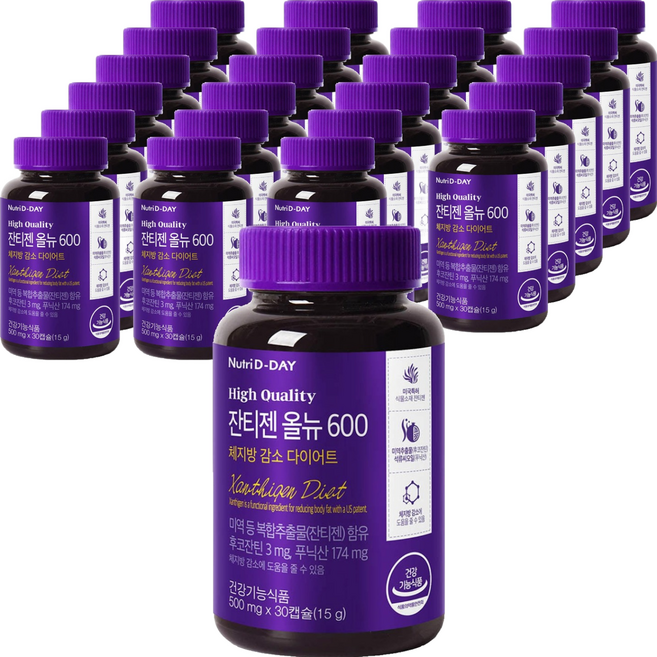 뉴트리디데이 잔티젠 올뉴 600 15g, 30정, 24개