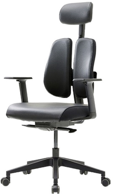 듀오백 골드 사무용 학생용 공부의자 인조가죽 D2500G-ASL, 블랙