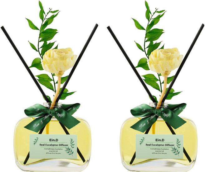 에인디 아로마 에센셜 시그니처 디퓨저, 유칼립투스, 100ml, 2개