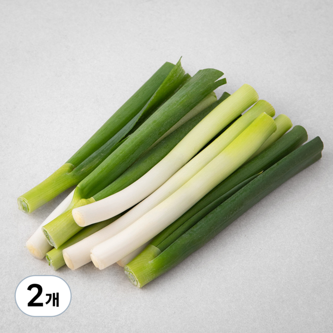 국내산 절단 대파, 300g, 2개