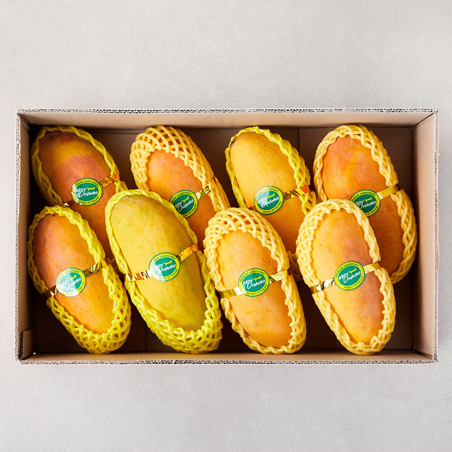 수플린 태국산 마하차녹 망고 실속세트 8~9개입, 3kg, 1개