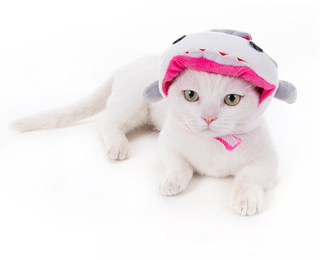 파스텔펫 동물 캐릭터 반려동물모자, 상어, 1개